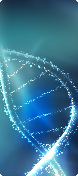 產(chǎn)能優(yōu)勢